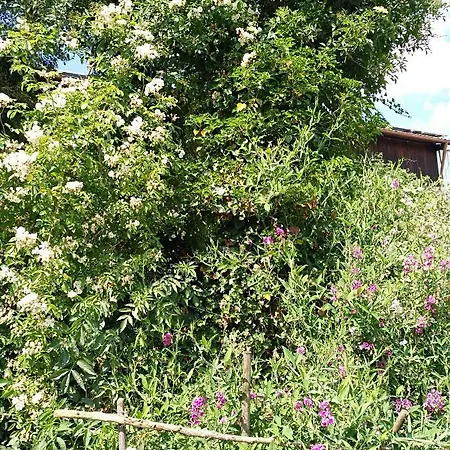 Paradies Im Grunen